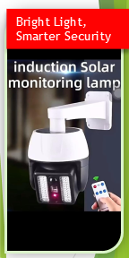 Solar Motion Sensor LED Security Wall Light (HMW)