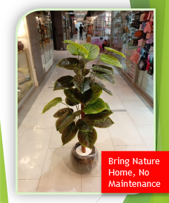 5ft Artificial Big Leaf Plant with Fiber Pot (FGT)
