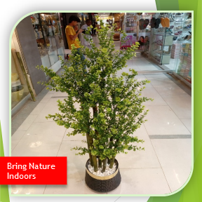 Decorative Artificial Flier Plant for Home Décor Flier Plant 5 ft. (FGT)